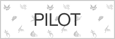 Pilot partner